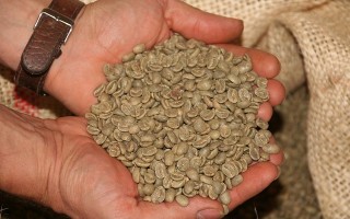Permanent Link to Zelená káva – pomocník při hubnutí a detoxikaci? Zelená, Káva